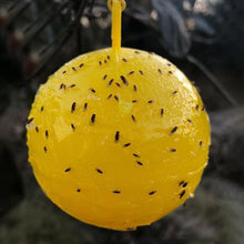 Cargar imagen en el visor de la galería, 5