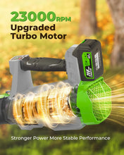 Cargar imagen en el visor de la galería, 3