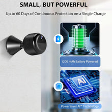 Cargar imagen en el visor de la galería, 2