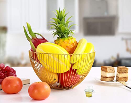 CatchMore Fruit Fly Traps 2-Pack | Effective Fruit Fly Trap for Indoor Use | Made in Canada | for Kitchen & Dining Areas | Always Active | 30 Days per Trap