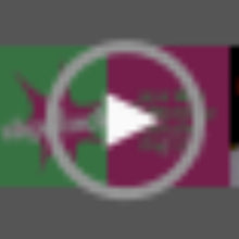 Cargar imagen en el visor de la galería, 9