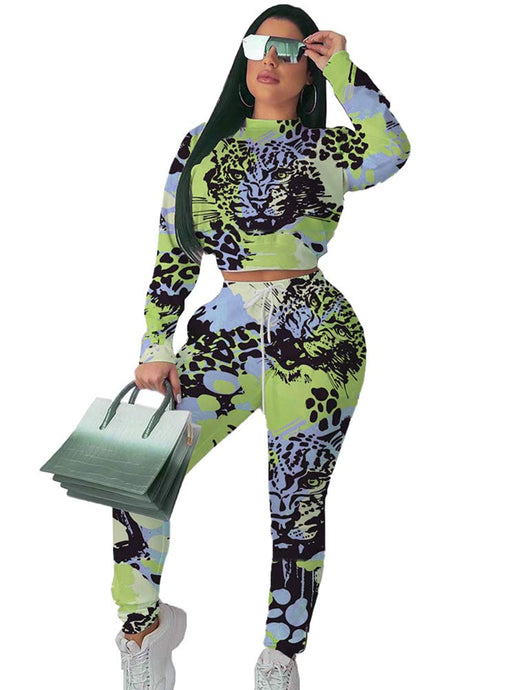 Women 2 Piece Outfit Summer Short Sleeve Animal Print T-Shirts Bodycon Shorts Set Jumpsuit Rompers S-XXL