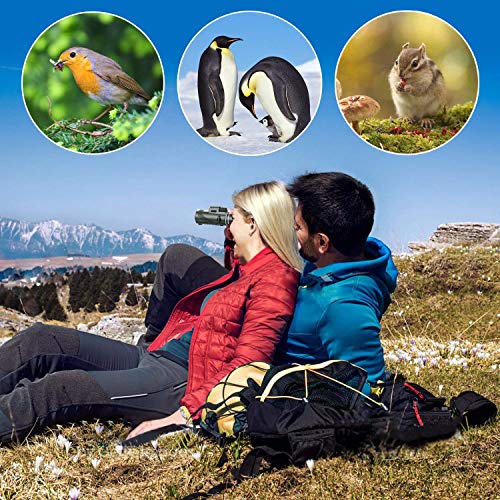 40X60 Monocular Telescope High Power Monocular for Adults with Phone Adapter & Tripod & Hand Strap Low Night Vision Monocular Equipped with BAK4 Prism for Bird Watching Camping Travelling Concert